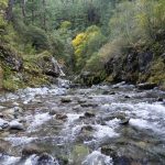 small rapids on the Elk River