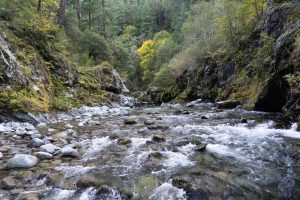 small rapids on the Elk River