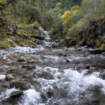 small rapids on the Elk River