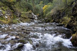 small rapids on the Elk River