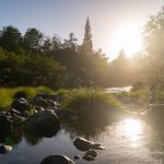 landscapes of the Pistol River