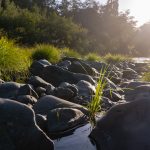 rocks on the Pistol River