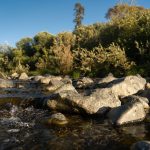 rocks and swift water on the Pistol River