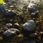 rocks on the Pistol River