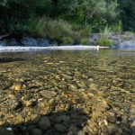 rocks on the Pistol River