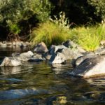 rocks on the Pistol River