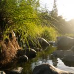 plans and rocks on the Pistol River