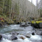 looking upstream at Hunter