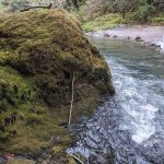 swift water going around a bend