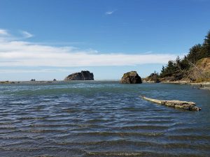 rocks in Rogue River