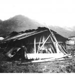 vintage photo of native home