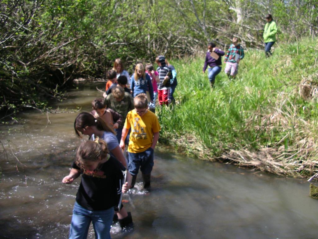 kids walking into creek