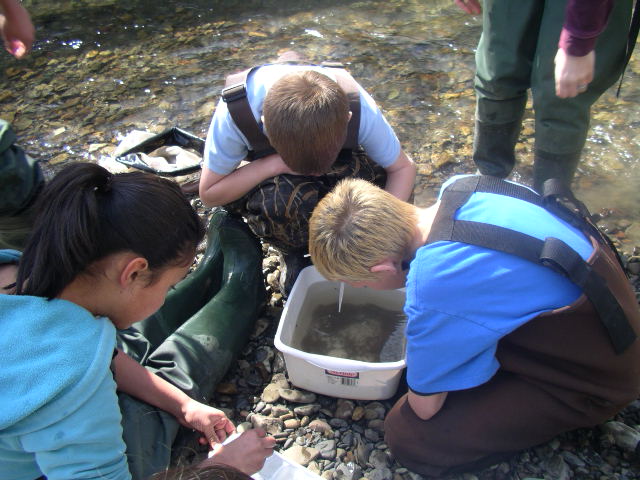 children viewing specimens