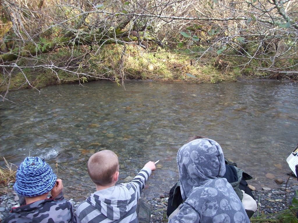 children looking for salmon