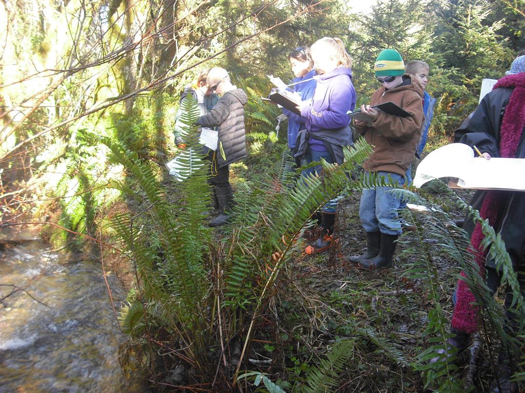 children making observations at creek