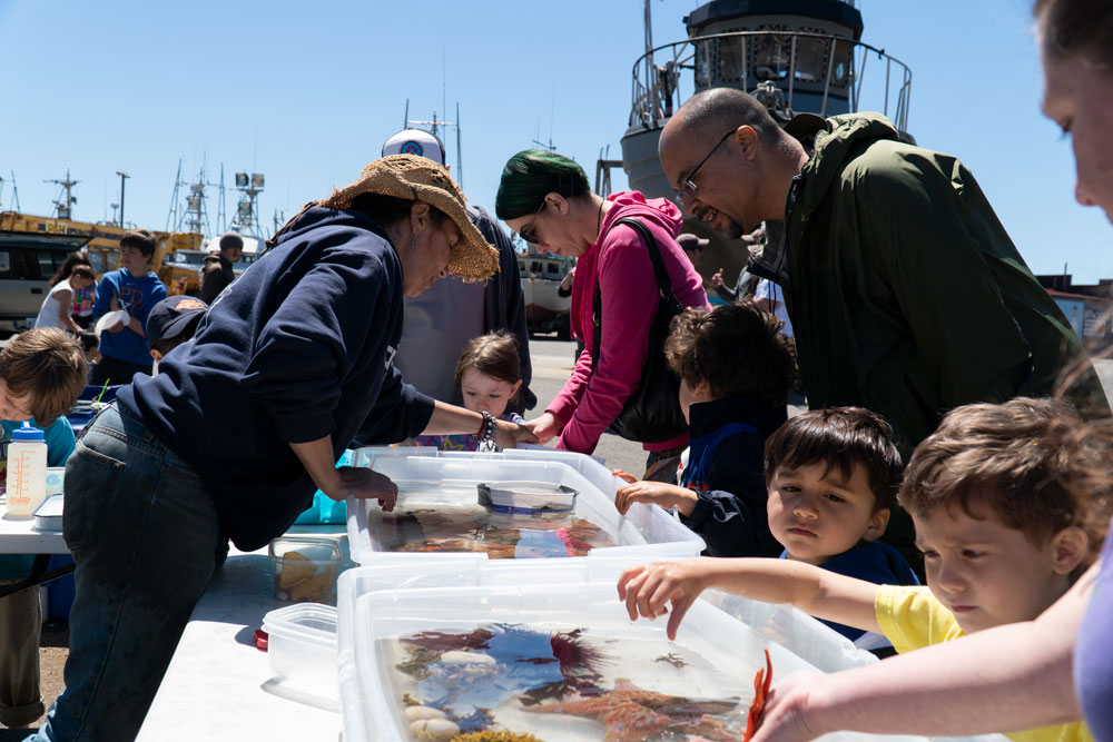 children touching creatures in tanks