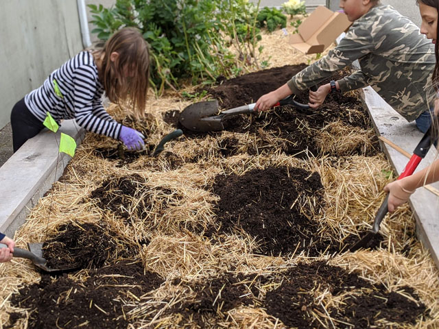 Children planting in the garden