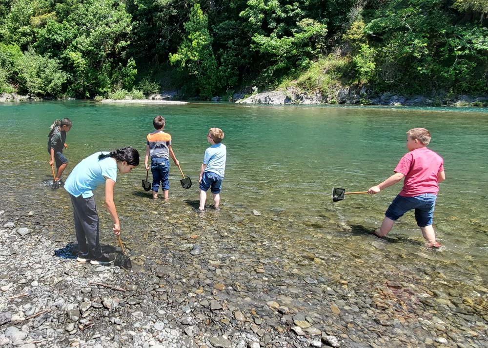 children exploring a river