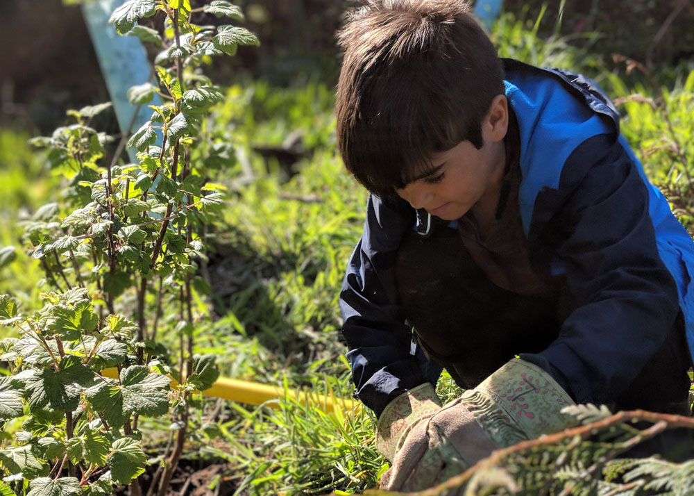 children planting