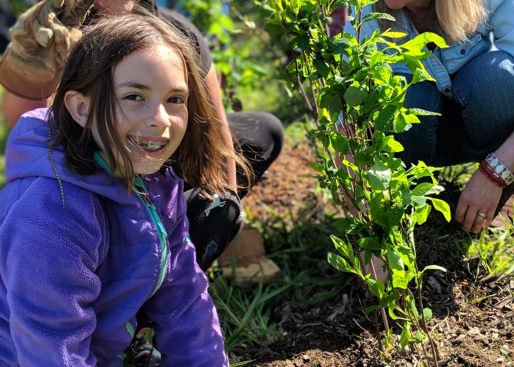 children planting trees