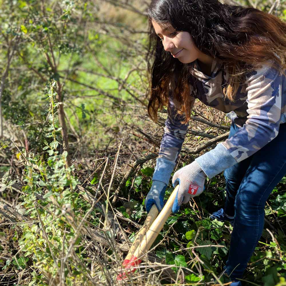 Riparian-restoration-WEB-cwp-website-4