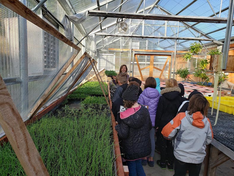 Children inside the greenhouse