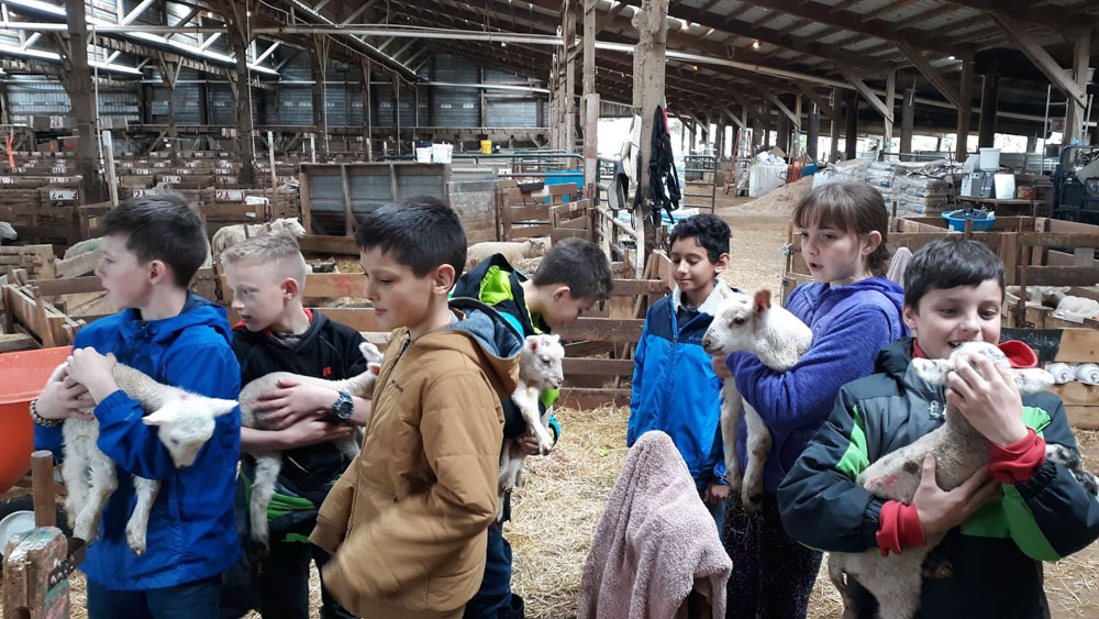 children holding baby animals