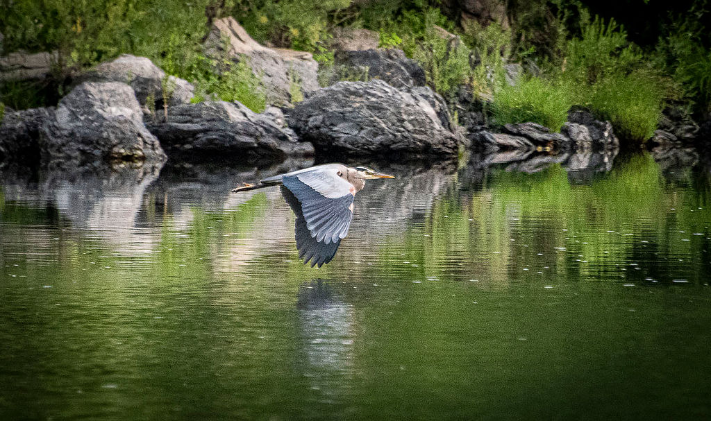 This image celebrates my relationship with Nature Photography.