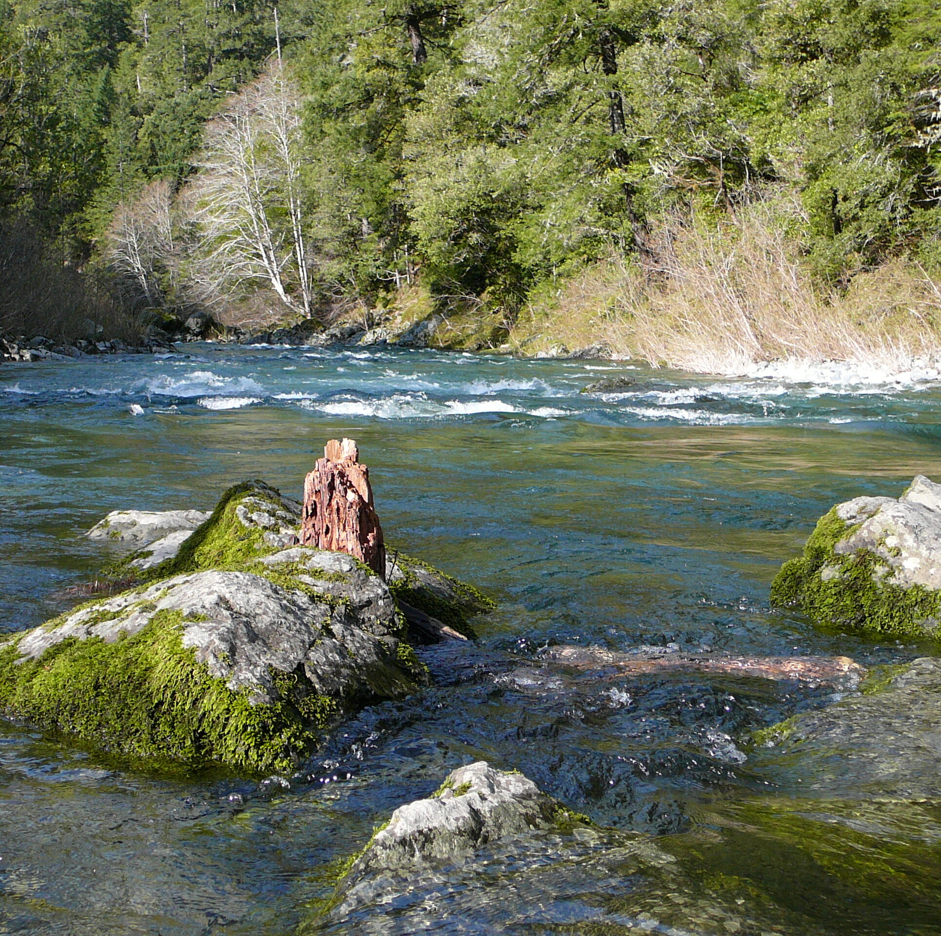 Elk River - Mainstem