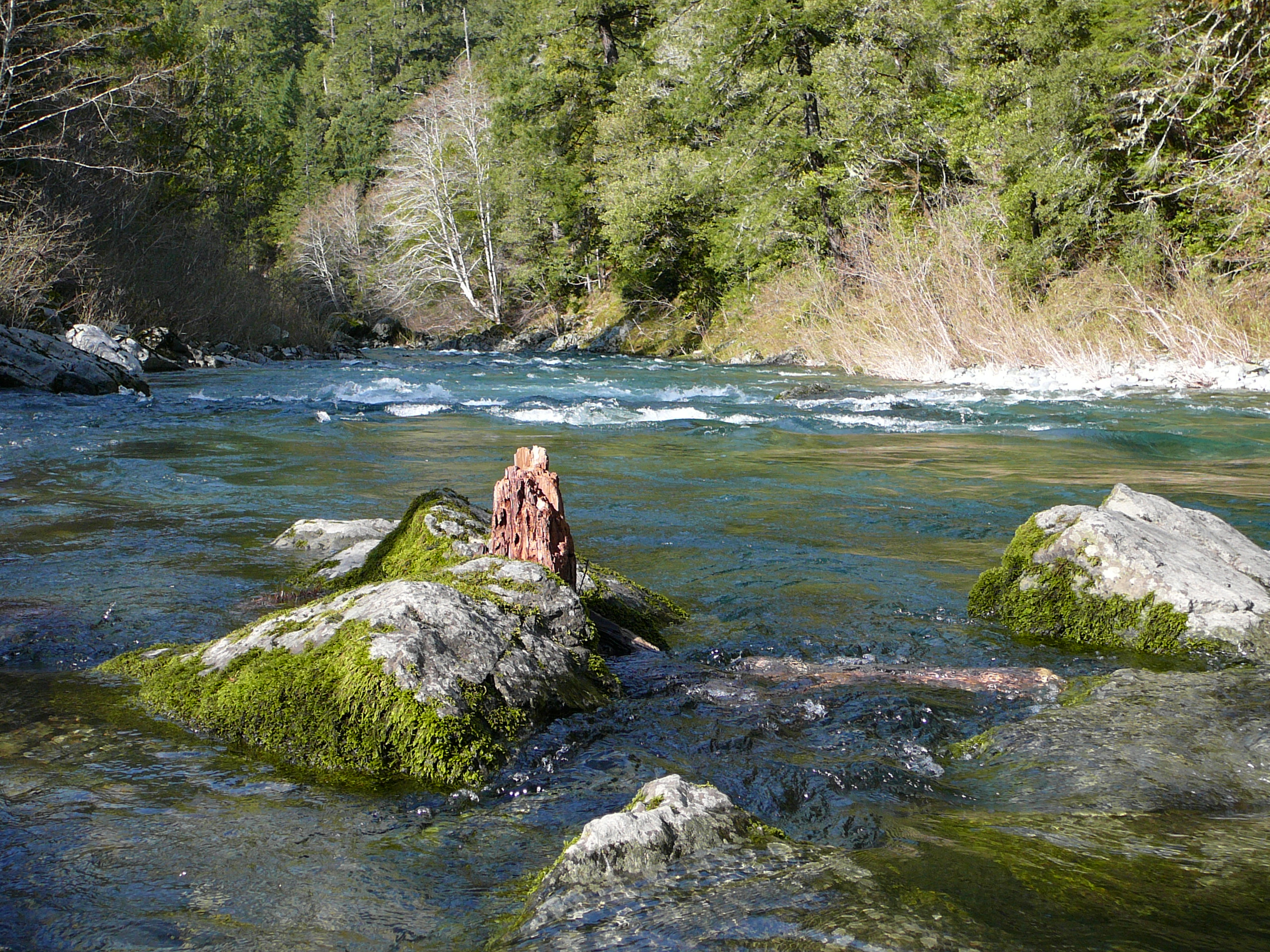 Elk River - Mainstem