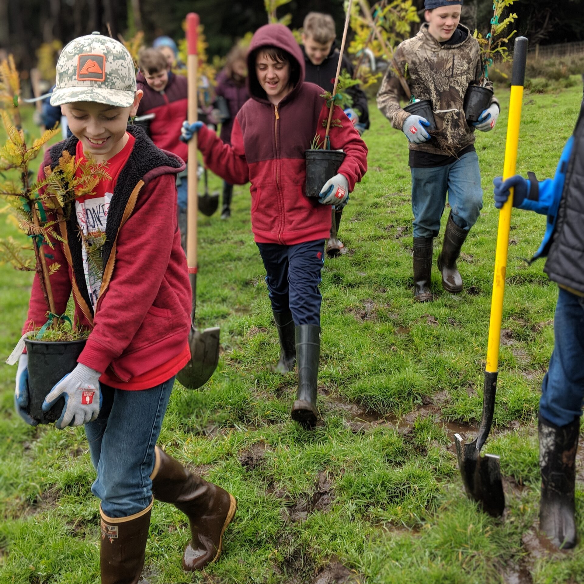 00100dPORTRAIT_00100_BURST20190212125916940_COVER