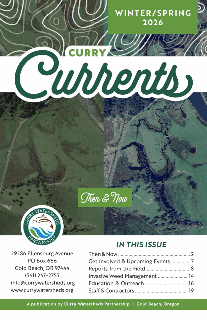 Aerial photos of Sullivan Gulch in the lower Sixes before (2015) and after (2024) restoration.