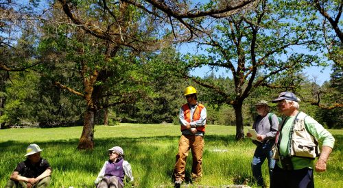 Learning from WRCFC